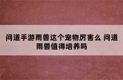 问道手游雨兽这个宠物厉害么 问道雨兽值得培养吗